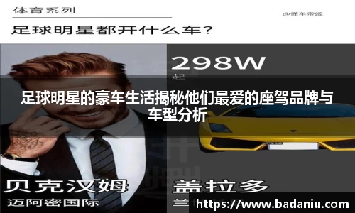 BB贝博艾弗森体育